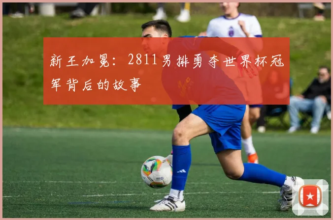 新王加冕：2811男排勇夺世界杯冠军背后的故事