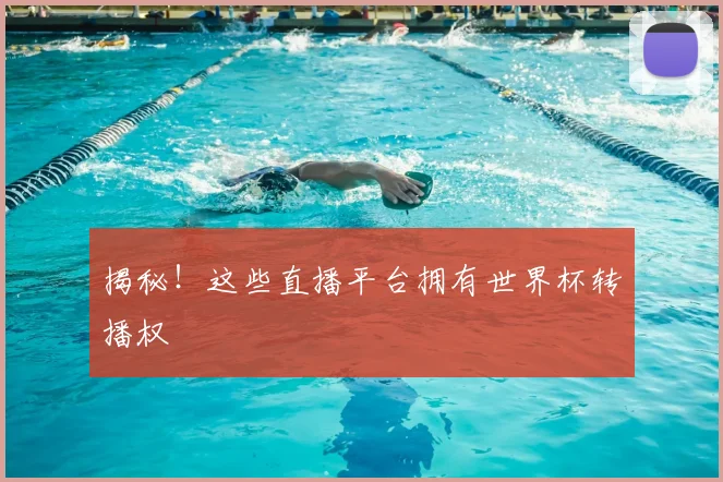 揭秘!这些直播平台拥有世界杯转播权