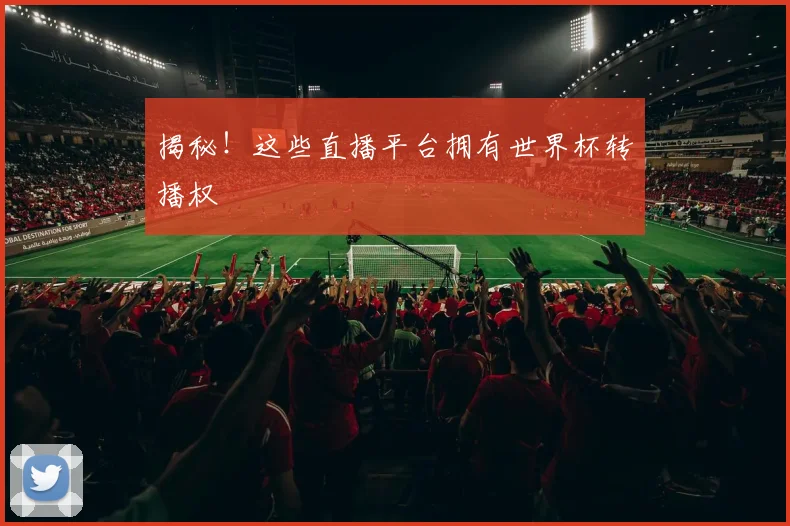揭秘!这些直播平台拥有世界杯转播权