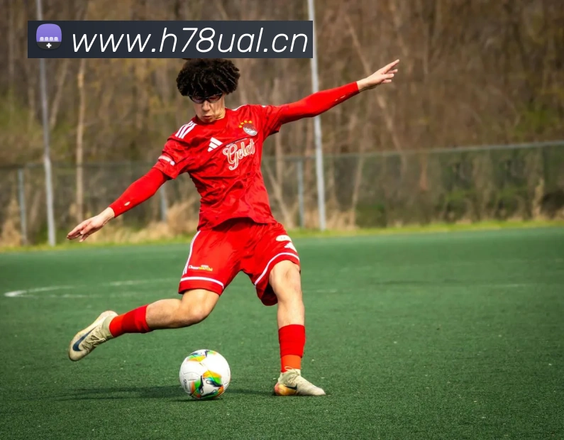 开云手机入口官网APP 高清赛事图